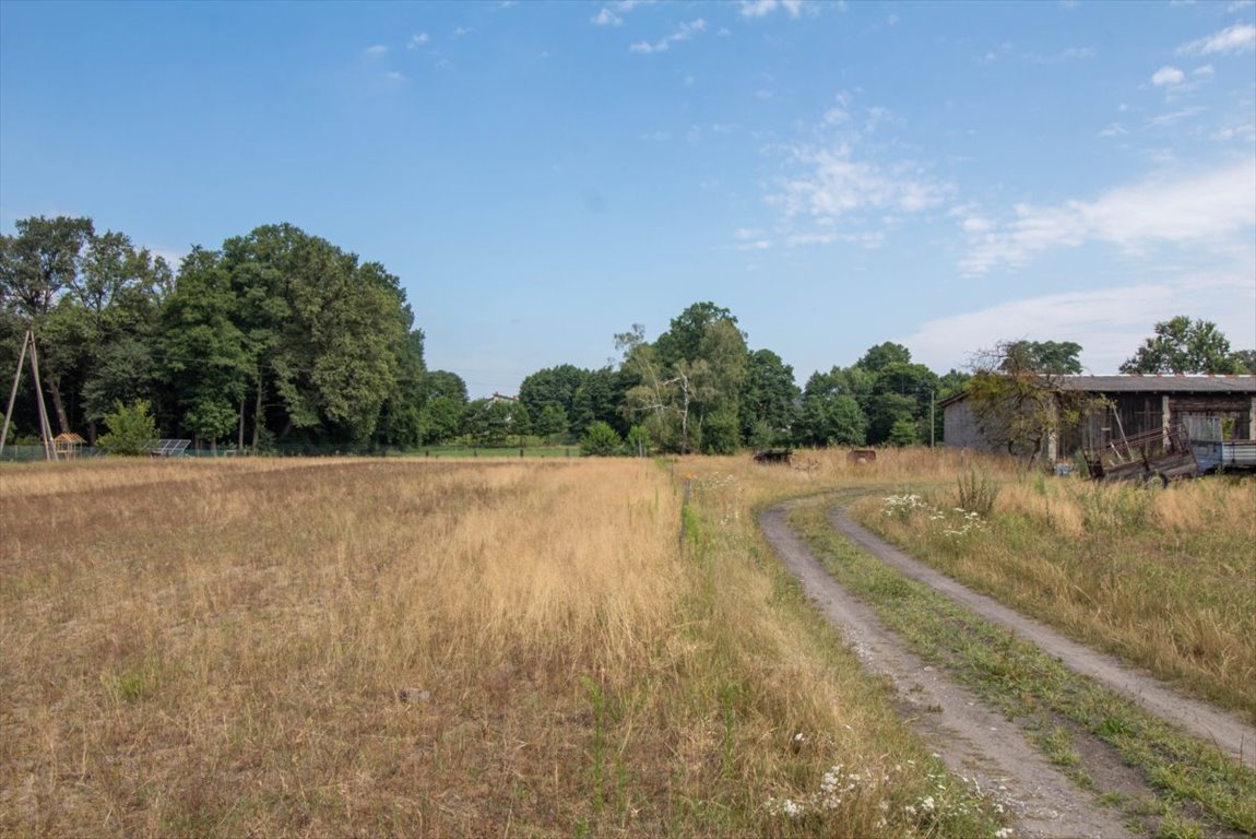 Działka budowlana na sprzedaż Strzebiń, Boczna  3 014m2 Foto 10