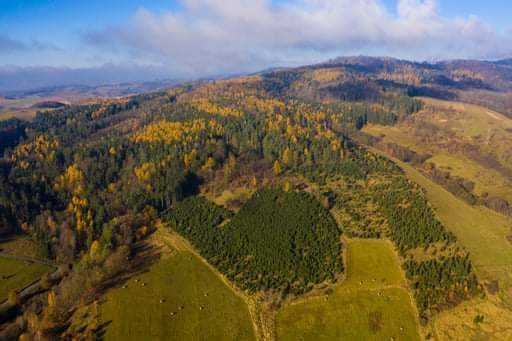 Działka inna na sprzedaż Kłodzko  44 300m2 Foto 4