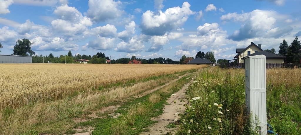 Działka budowlana na sprzedaż Borzęcin Mały, Kosmowska  950m2 Foto 4