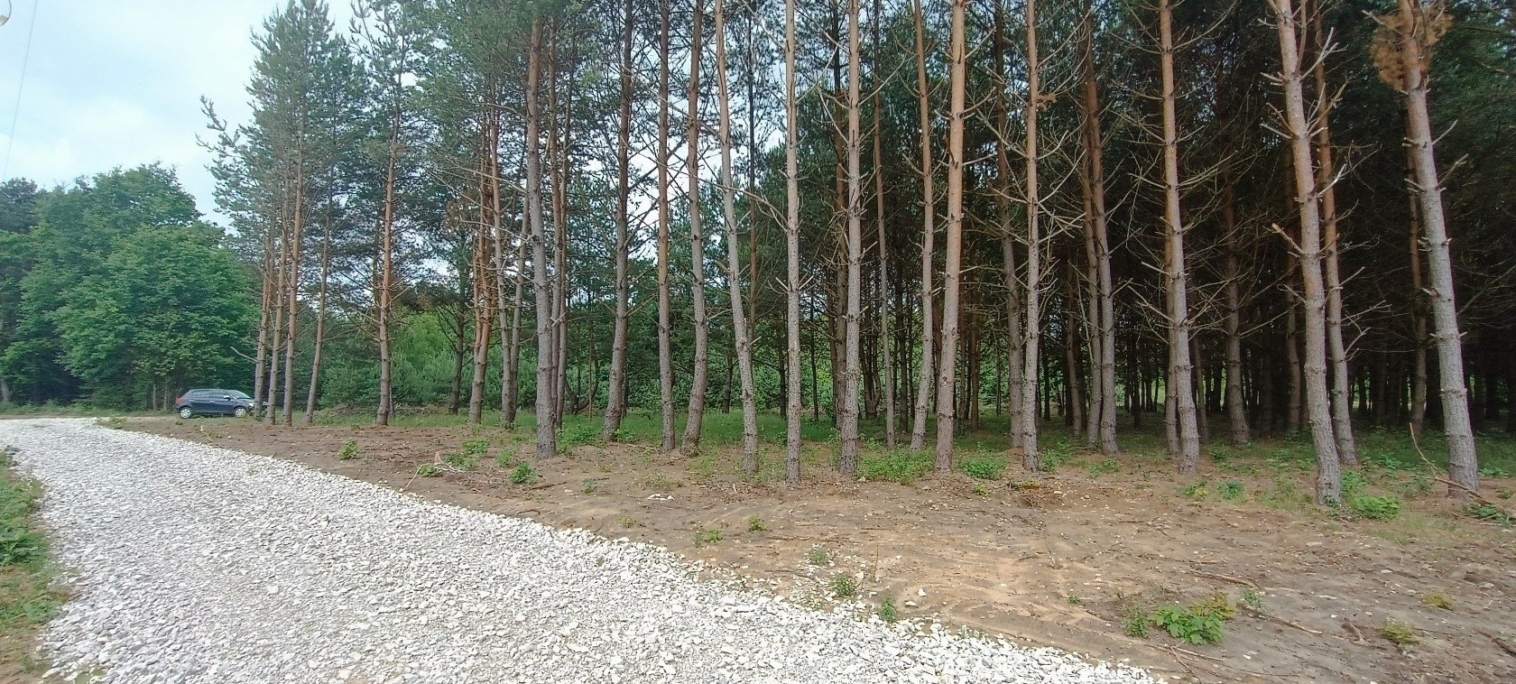 Działka budowlana na sprzedaż Daleszyce, Niwy  1 032m2 Foto 7