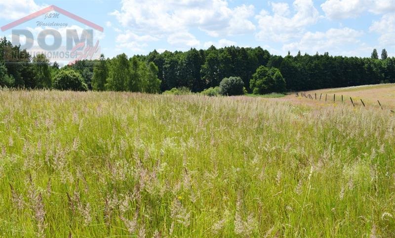 Działka inna na sprzedaż Gudowo  15 600m2 Foto 11