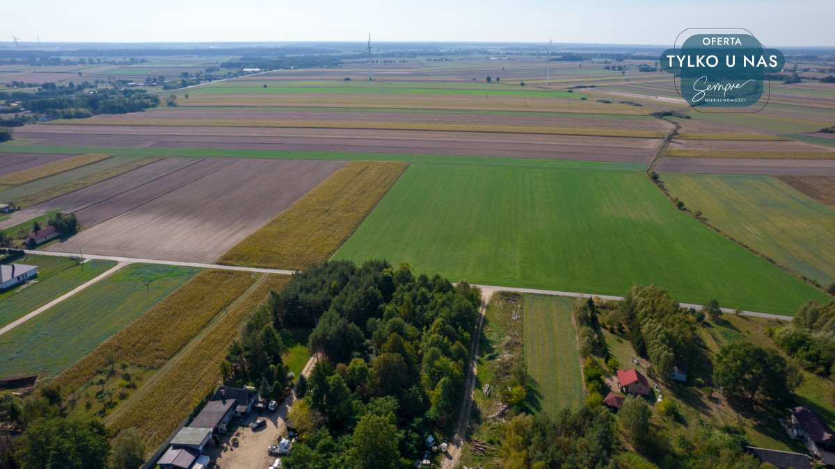 Działka budowlana na sprzedaż Krokocice  4 800m2 Foto 11