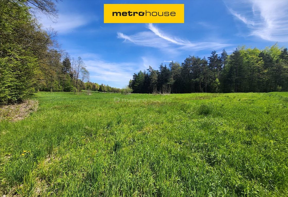 Działka 4906 m² z lasem, media, spokojna okolica Klecza Dolna  4 906m2 Foto 1