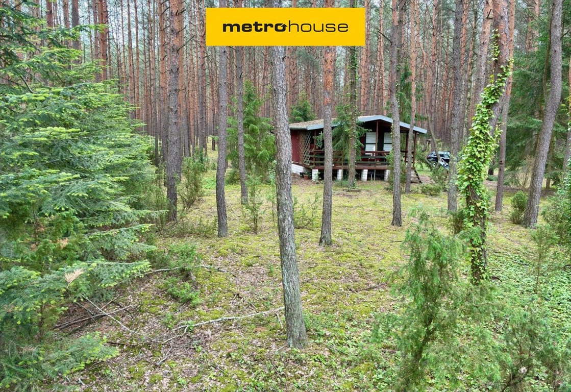 Urokliwa działka z domkiem w lesie, 1433 m², blisko Warszawy Łosie, Jeżowa  1 433m2 Foto 1