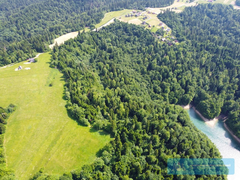 Działka budowlana na sprzedaż Werlas  4 100m2 Foto 8