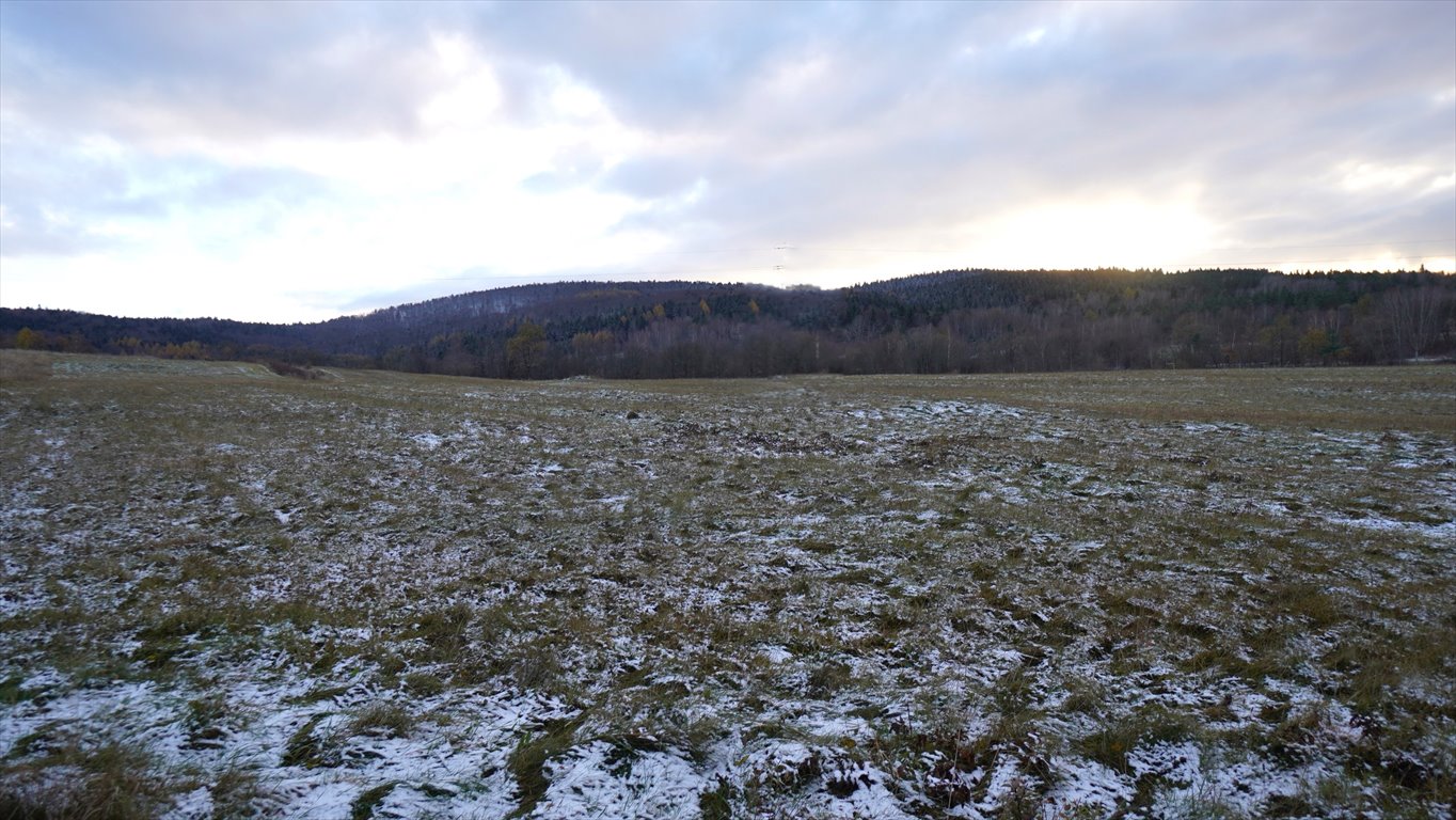 Działka rolna na sprzedaż Wapienne  9 700m2 Foto 4