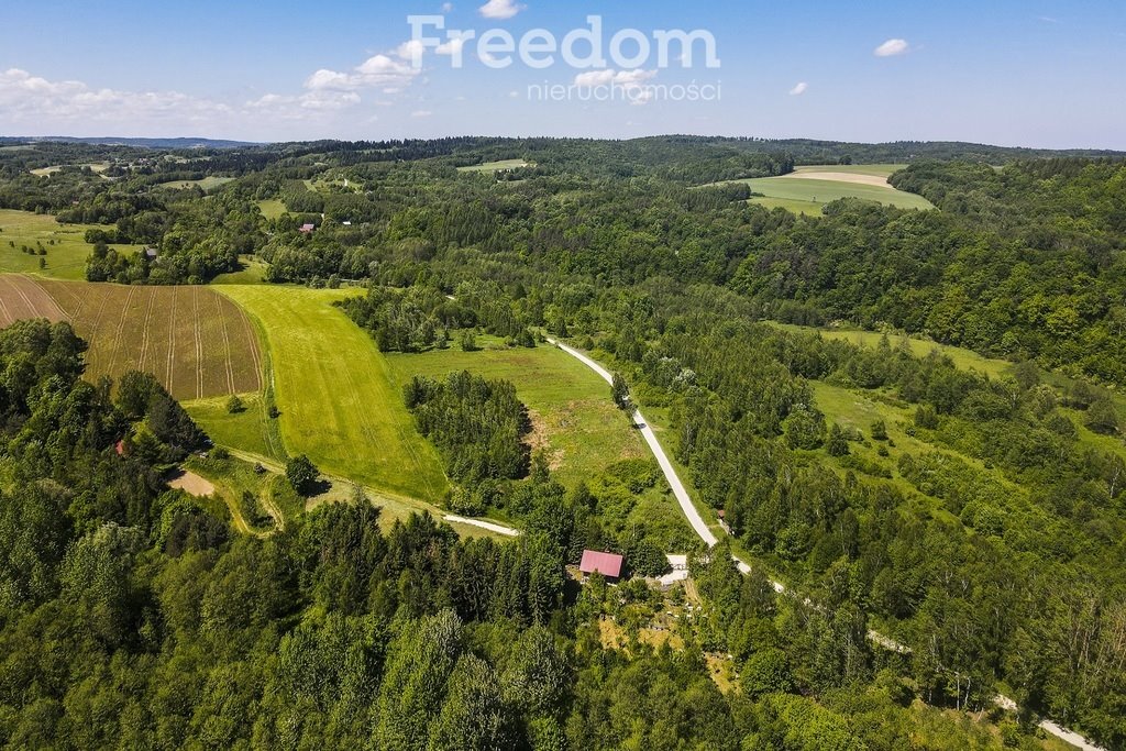 Działka inwestycyjna na sprzedaż Błażowa Górna  78 800m2 Foto 1