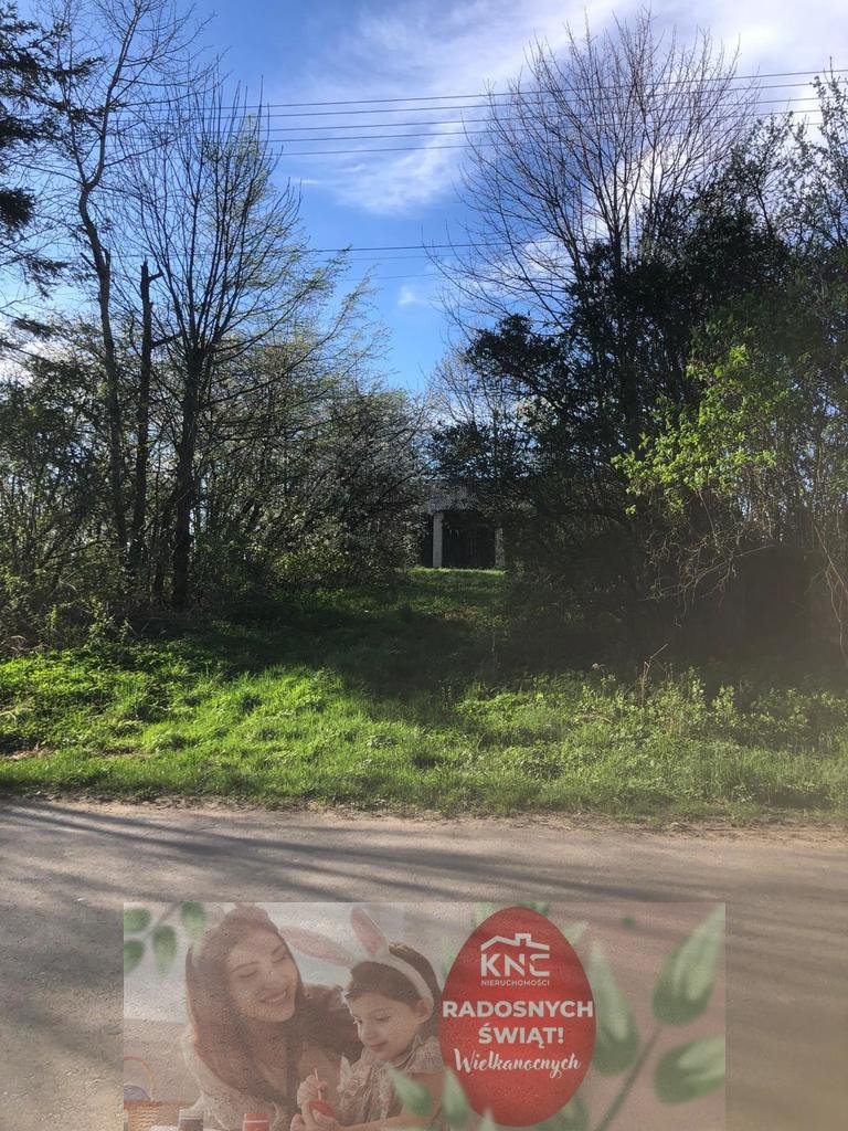 Działka 52 ar pod zabudowę, asfalt, media, pierwsza linia Anielpol  5 200m2 Foto 1