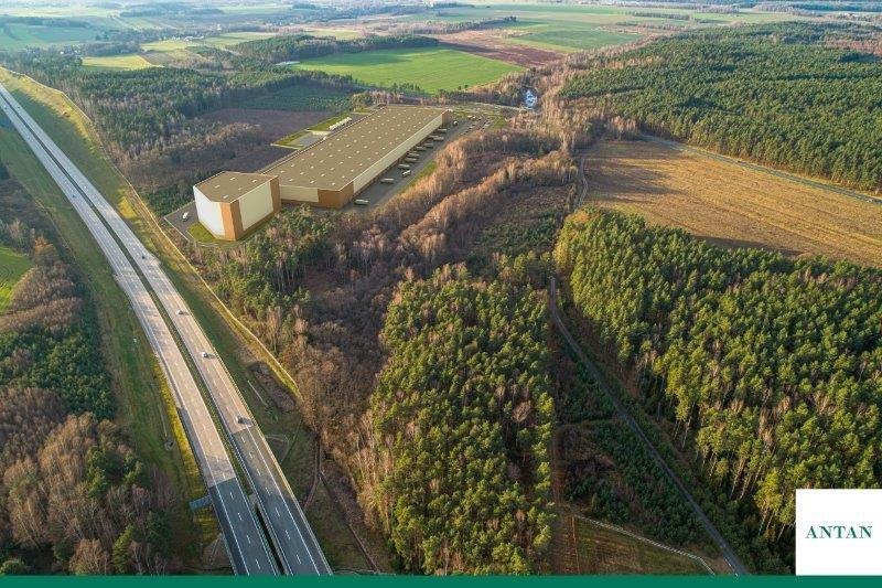 Działka inwestycyjna 9,81 ha pod logistykę i produkcję Pieńsk  98 100m2 Foto 1