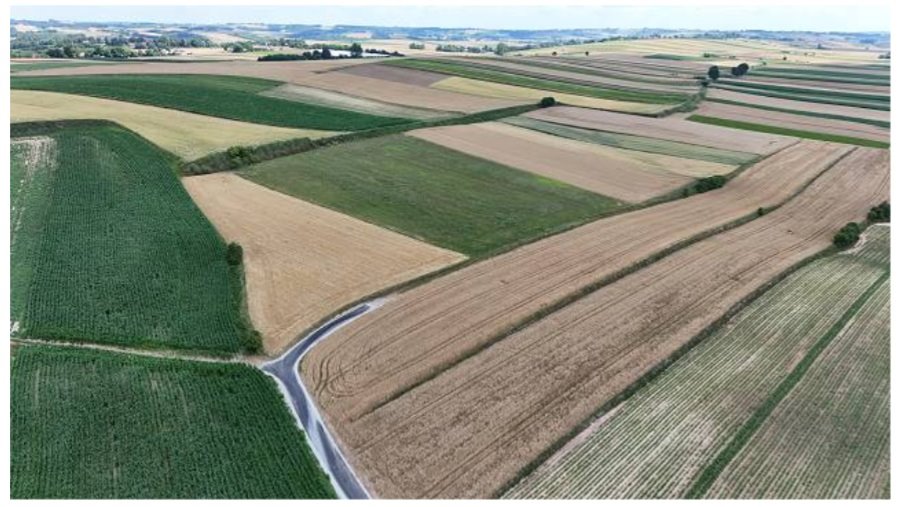 Działka rolna na sprzedaż Obrażejowice, Obrażejowice  13 635m2 Foto 1