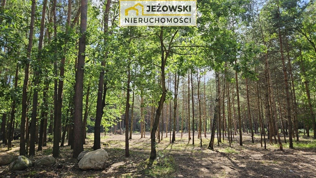 Działka rolna na sprzedaż Nowosiółki  8 500m2 Foto 2