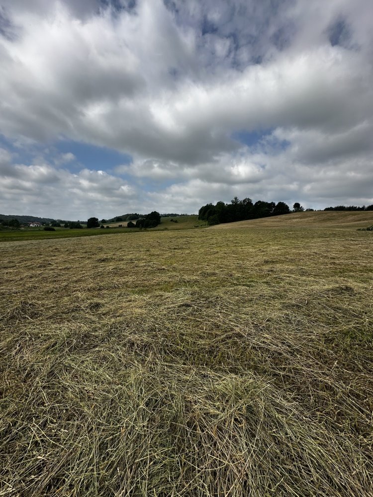 Działka budowlana na sprzedaż Warzno  1 007m2 Foto 2