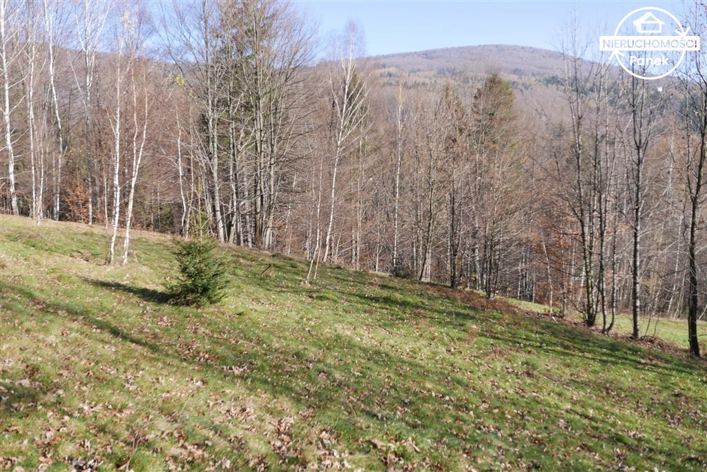Działka budowlana na sprzedaż Brenna, - 2 266m2 Foto 1 Działka budowlana na sprzedaż Brenna, - 2 266m2 Foto 1