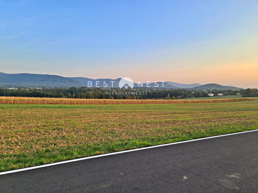 Działka budowlana na sprzedaż Jasienica  10 340m2 Foto 5