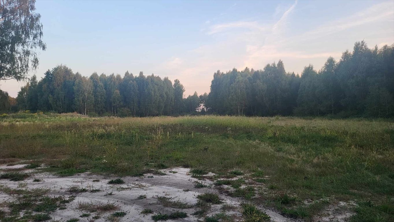 Działka leśna na sprzedaż Korczew  3 546m2 Foto 1