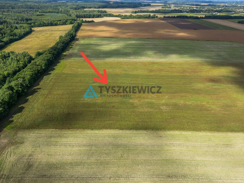 Zdjęcie 6