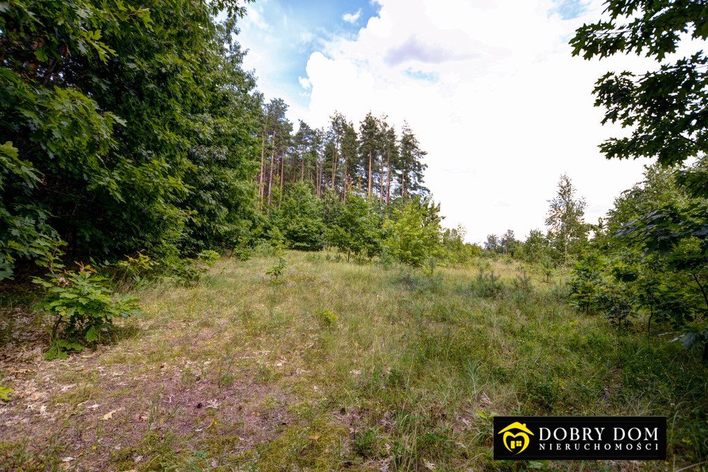 Działka 5200 m² w spokojnej okolicy z mediami i szybkim dojazdem Strabla  5 200m2 Foto 1