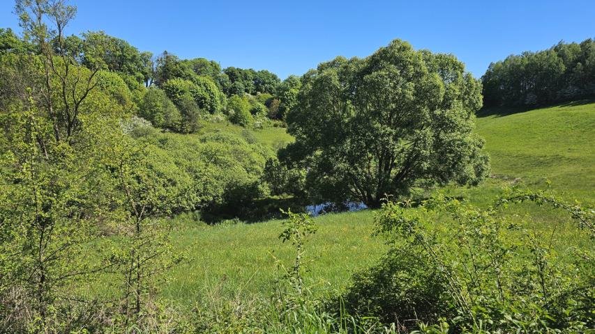 Działka inwestycyjna na sprzedaż Gubity  13 600m2 Foto 3