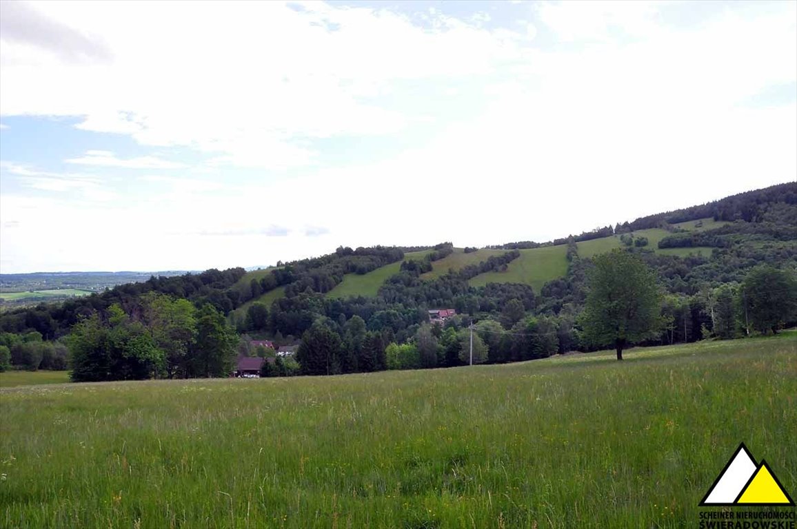 Działka budowlana na sprzedaż Gierczyn  9 700m2 Foto 10