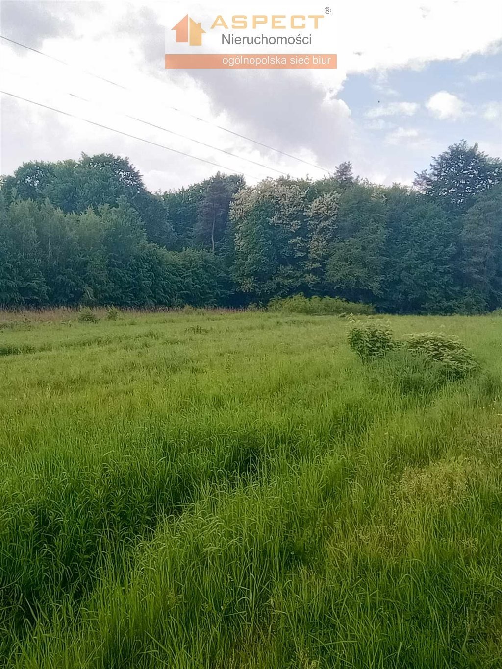 Działka budowlana na sprzedaż grodzisko dolne, grodzisko dolne, zmysłówka  4 720m2 Foto 5