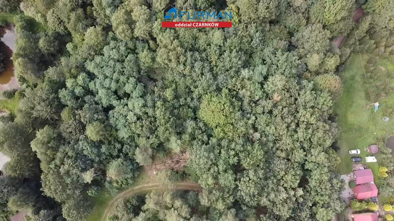 Działka leśna na sprzedaż Straduń  7 683m2 Foto 3