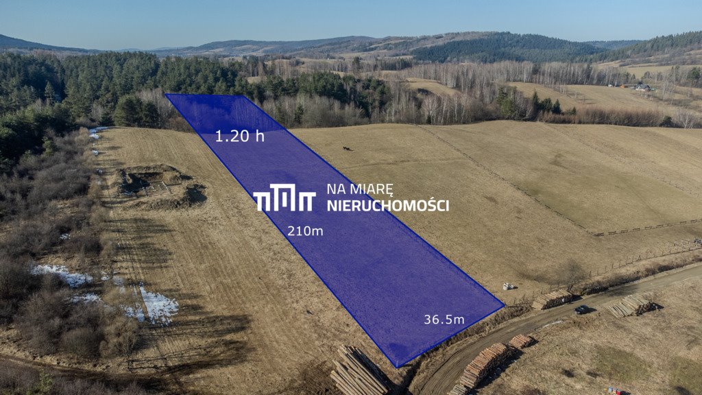 Polecam działkę 1,2 ha w Hoszowie z potencjałem inwestycyjnym Hoszów  12 000m2 Foto 1