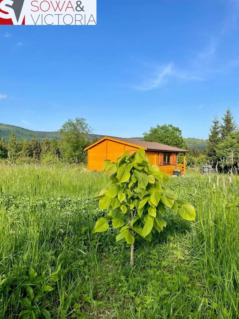 Domek rekreacyjny na 2000 m² z biznesem i widokami - polecam! Sierpnica  2 000m2 Foto 1