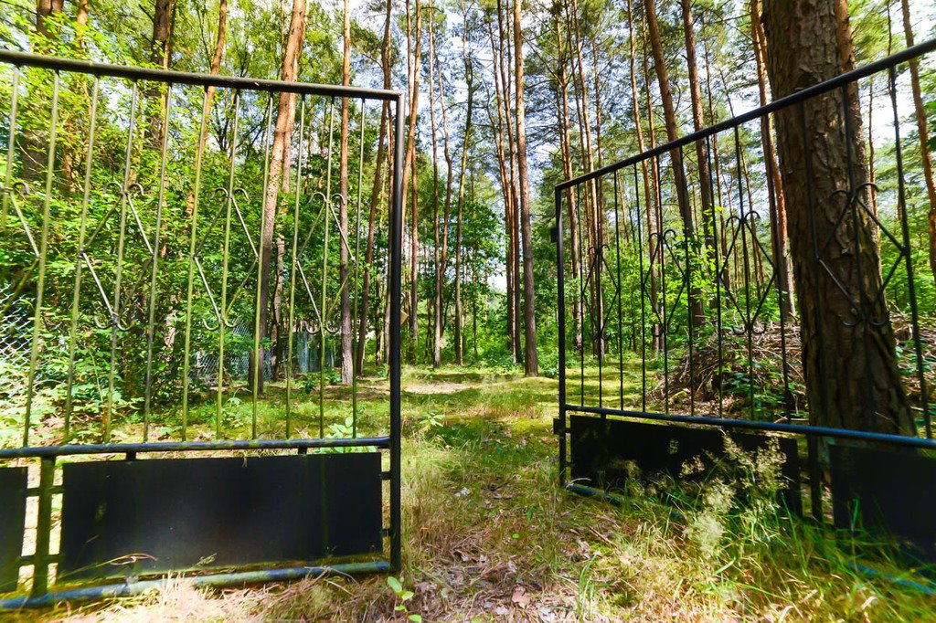 Działka 1999 m² pod letnisko, las, media, Poddębie Poddębie  1 999m2 Foto 1