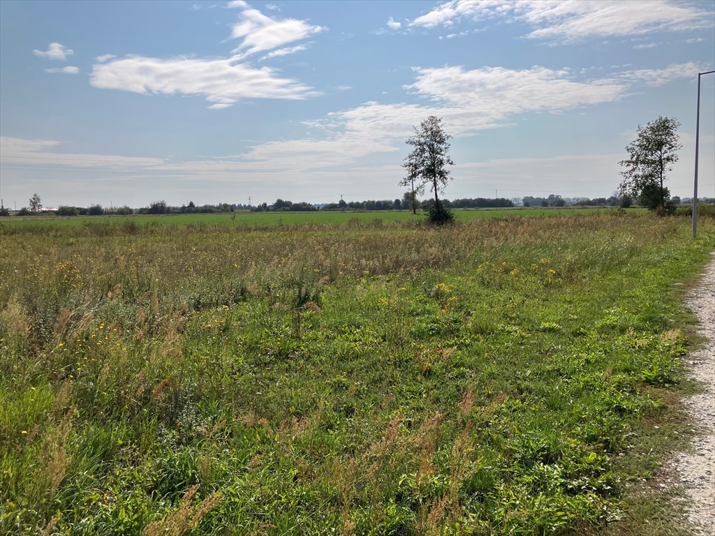 Działka budowlana na sprzedaż Mieścisko  1 725m2 Foto 8