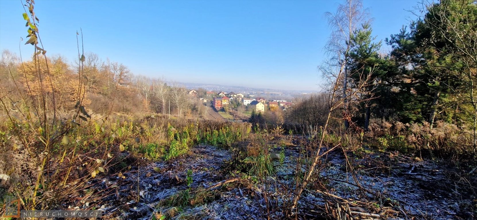 Działka budowlana na sprzedaż Zabierzów  4 800m2 Foto 3