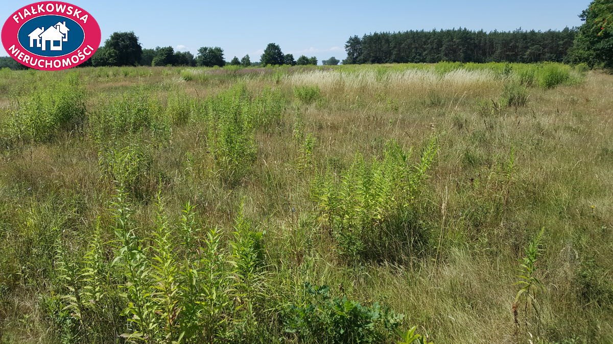 Duża działka rolna 27 000 m² z lasami i gruntami ornymi Budy-Strzyże  27 000m2 Foto 1