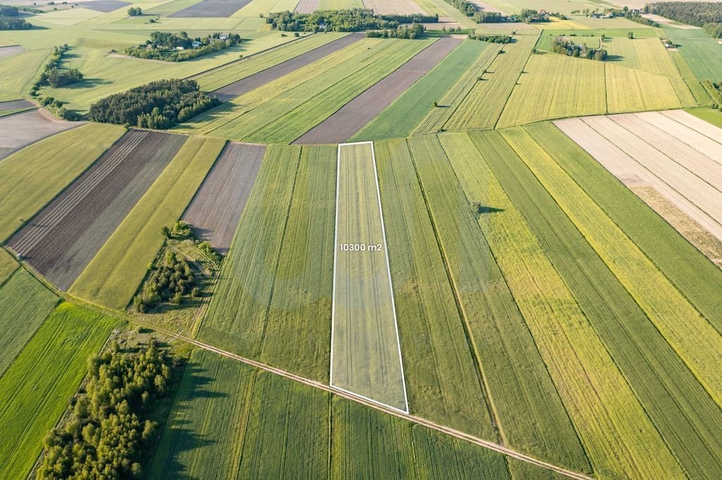 Działka rolna na sprzedaż Błogosławie  10 300m2 Foto 1