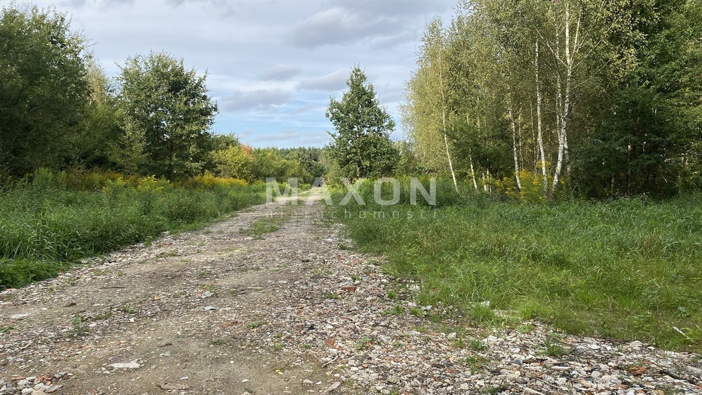 Działka budowlana na sprzedaż Kajetany  1 000m2 Foto 10