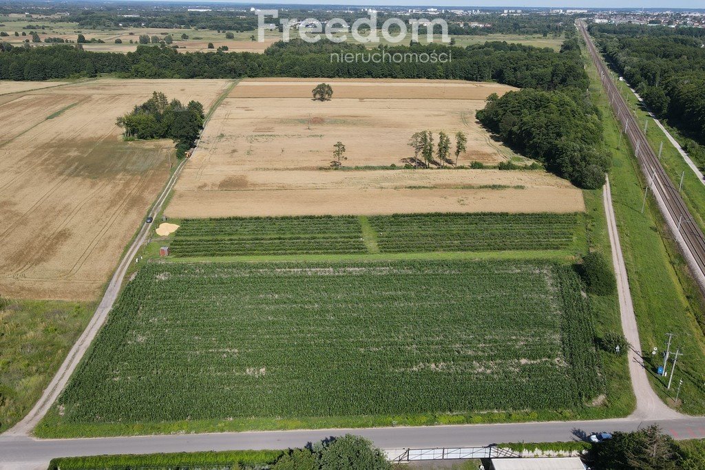 Działka budowlana na sprzedaż Nowe Iganie, Polna  6 567m2 Foto 5