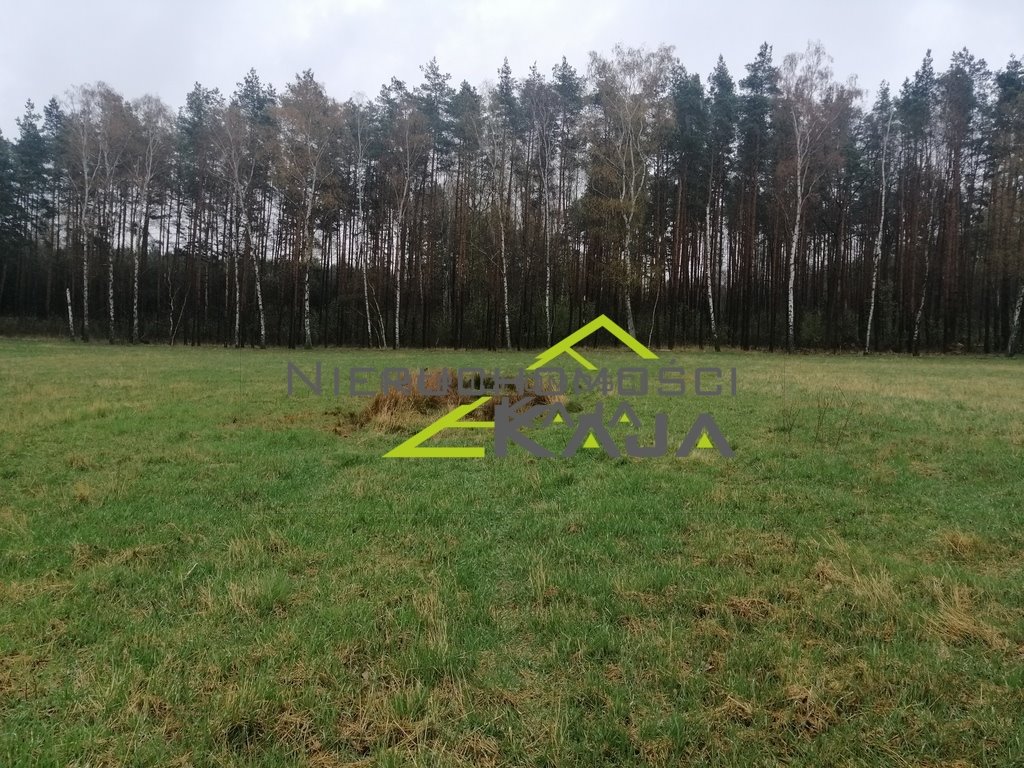 Działka budowlana na sprzedaż Grabowiec  3 008m2 Foto 9