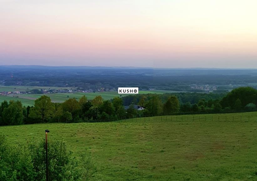 Działka budowlana na sprzedaż Oblęgór, Studzianki  12 500m2 Foto 4