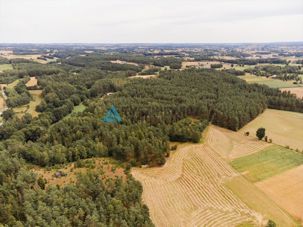 Działka rolna na sprzedaż Załęże, Kasztanowa  3 000m2 Foto 5