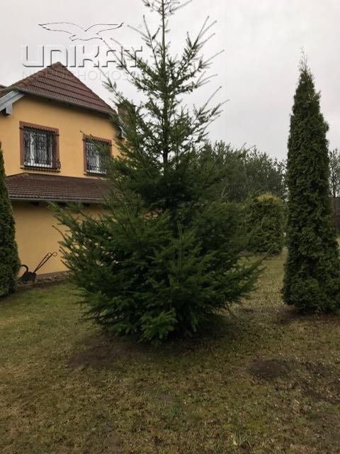 Dom na wynajem KOWALEWO, KAMIEŃ, ZIMOWA 170m2 Foto 1 Dom na wynajem KOWALEWO, KAMIEŃ, ZIMOWA 170m2 Foto 1