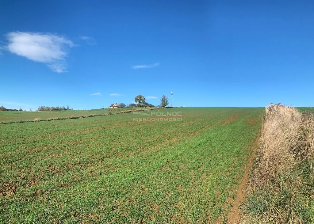 Działka rekreacyjna 1583 m² z mediami, 23 km od Krakowa Władysław  1 583m2 Foto 1