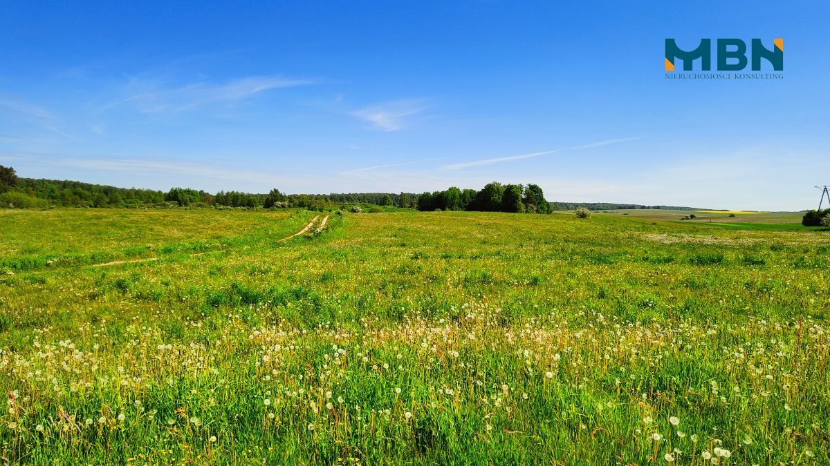 Działka rolna na sprzedaż Węgorzewo, Rudziszki  21 800m2 Foto 14