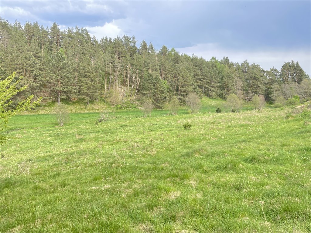 Działka budowlana na sprzedaż Koleczkowo, Bitwy Nad Ślężą  2 551m2 Foto 9