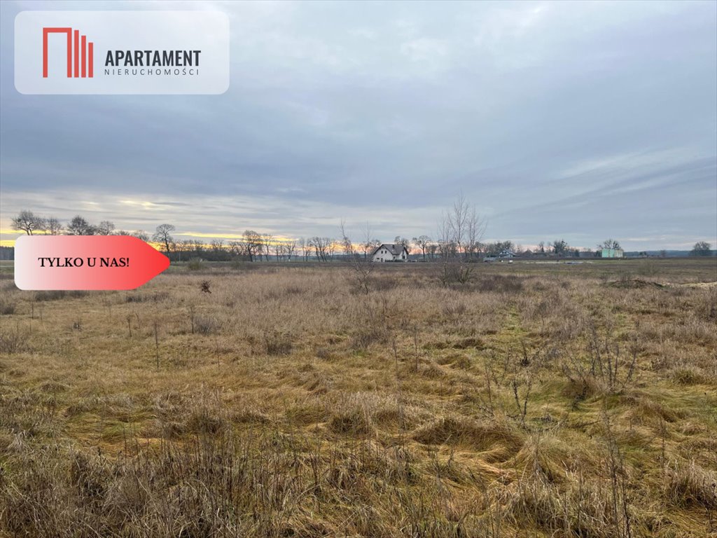 Działka budowlana na sprzedaż Olek  2 300m2 Foto 6