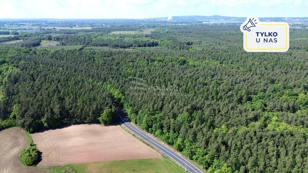 Działka budowlana na sprzedaż Kędzierzyn-Koźle, Kłodnica  4 027m2 Foto 1