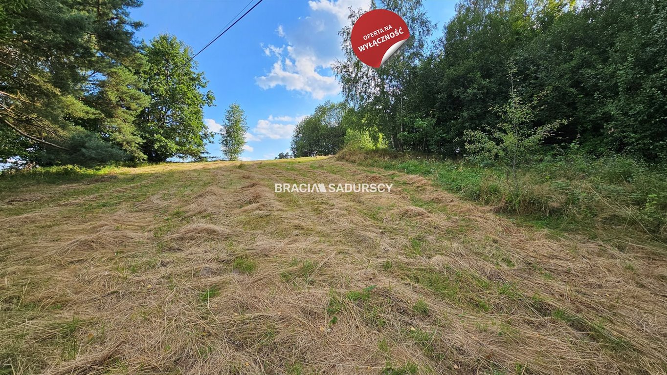 Działka budowlana na sprzedaż Połom Duży  3 500m2 Foto 6