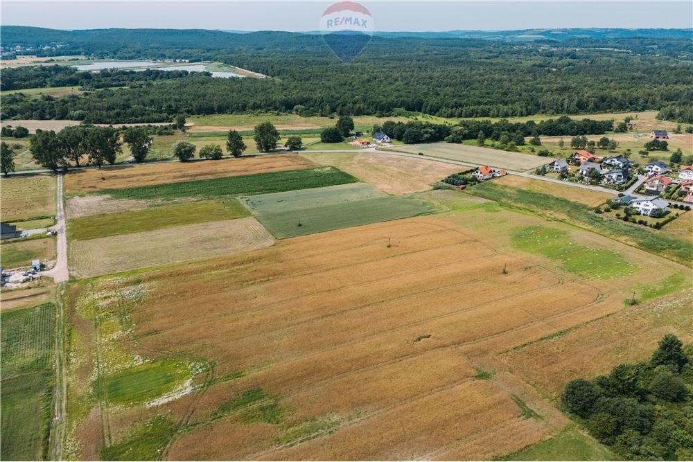 Działka siedliskowa na sprzedaż Kłokoczyn, Sarnia  3 012m2 Foto 6