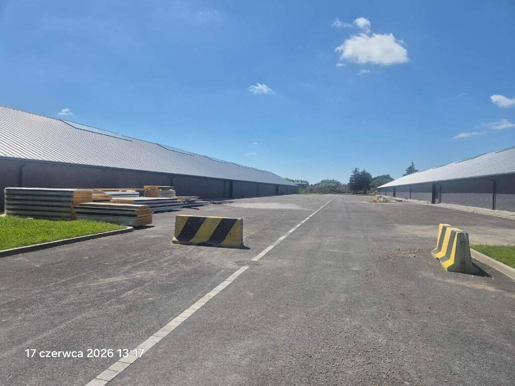 Hale 2400 m² z dużymi bramami i wysoką nośnością Dawidy Bankowe  2 150m2 Foto 1