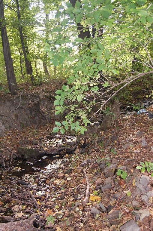 Działka budowlana na sprzedaż Bielsko-Biała, Kamienica 3 961m2 Foto 1 Działka budowlana na sprzedaż Bielsko-Biała, Kamienica 3 961m2 Foto 1