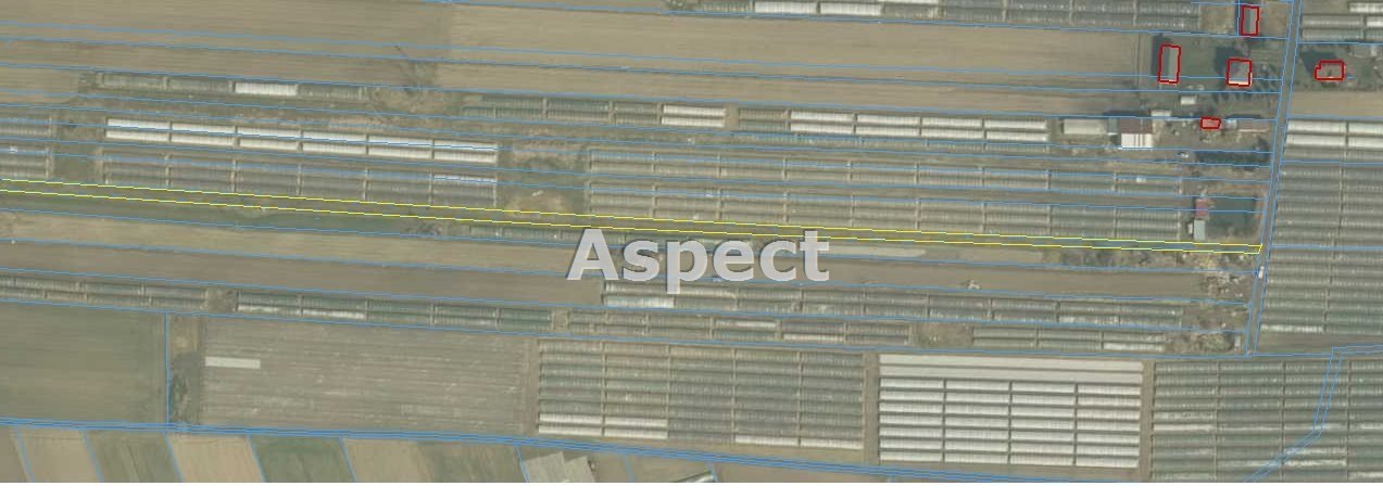 Działka rolna na sprzedaż Piątek  4 991m2 Foto 1