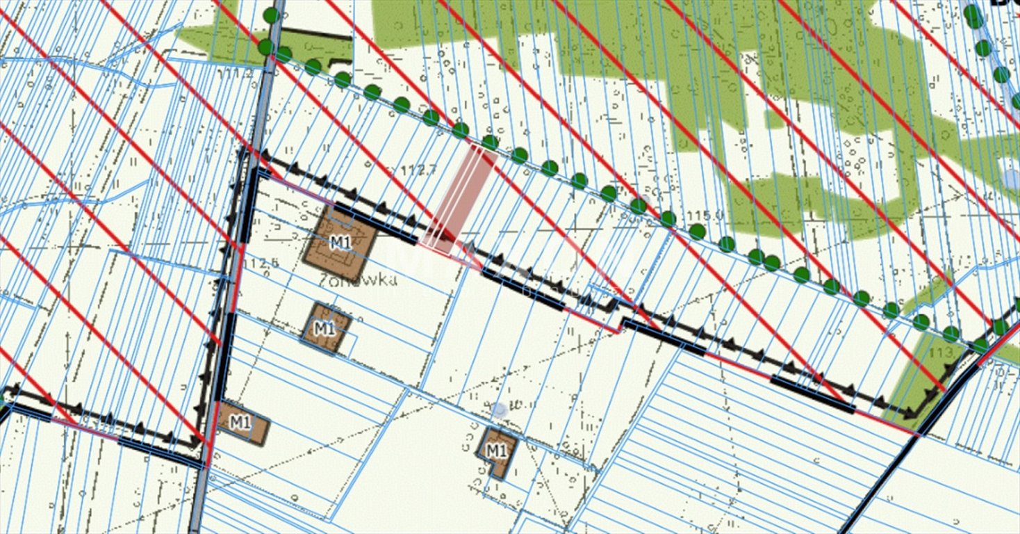 Działka rolna na sprzedaż Orzełek  8 326m2 Foto 5