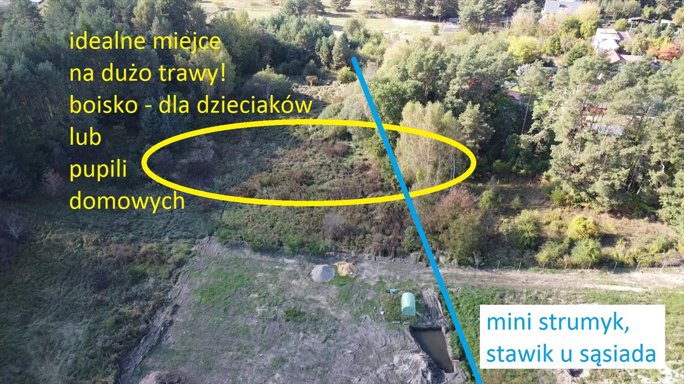 Działka w Kielcach 4862 m² z lasem i spadkiem terenu Kielce  4 862m2 Foto 1